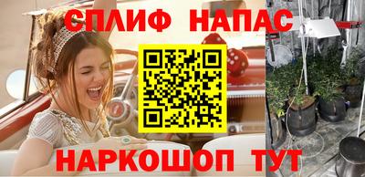 шишки Краснодар