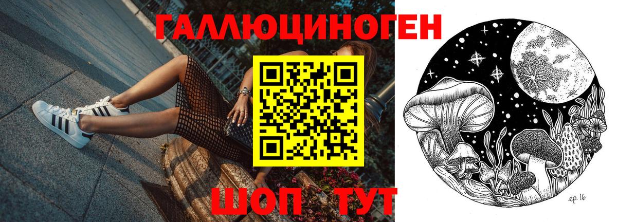 Псилоцибиновые грибы Magic Shrooms  Вход с VPN  Всеволожск  Псилоцибиновые грибы Psilocybine cubensis 