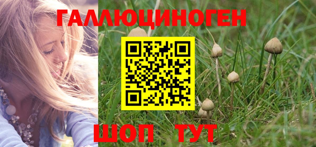 Галлюциногенные грибы Cubensis Всеволожск